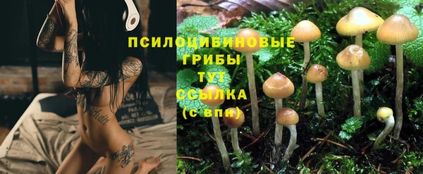 Альфа ПВП Каменск-Шахтинский