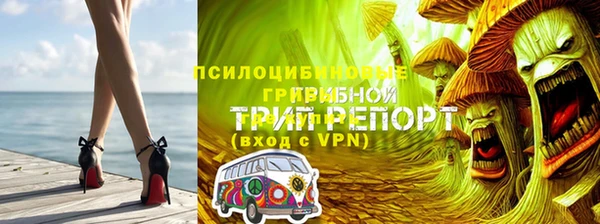 spice Каменногорск