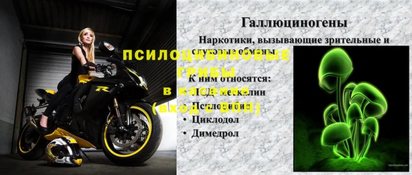 spice Каменногорск