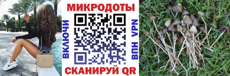 Псилоцибиновые грибы Psilocybe  Купить  Харабали 