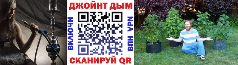 Канабис планчик  Купить  Харабали 